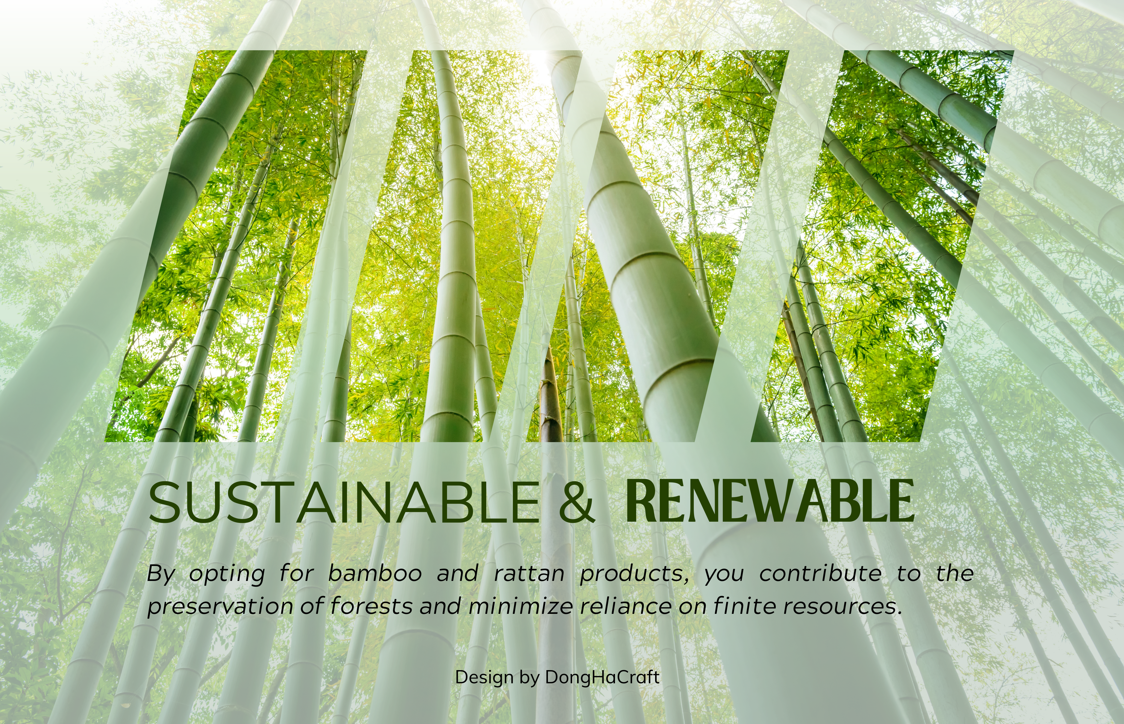 Sustainable and Renewable